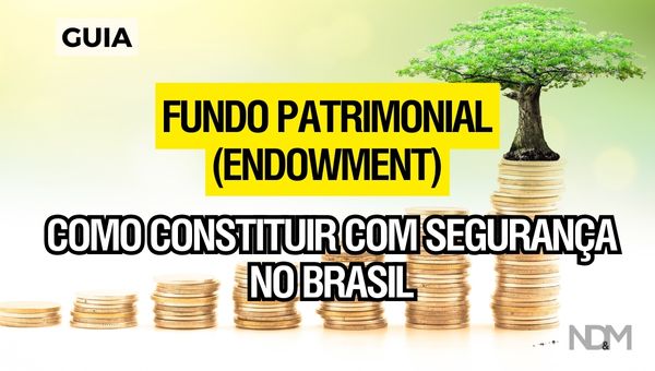 [eBook][GUIA] Como constituir um Fundo Patrimonial (Endowment) no Brasil?