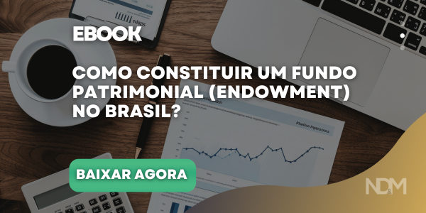 como constituir um fundo patrimonial endowment